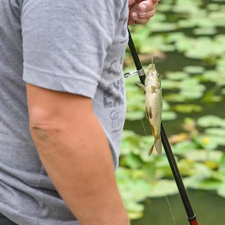 La Maison Du Gardien Tatil Evi