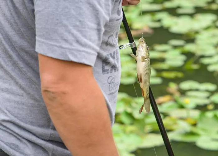 La Maison Du Gardien Casa de Férias